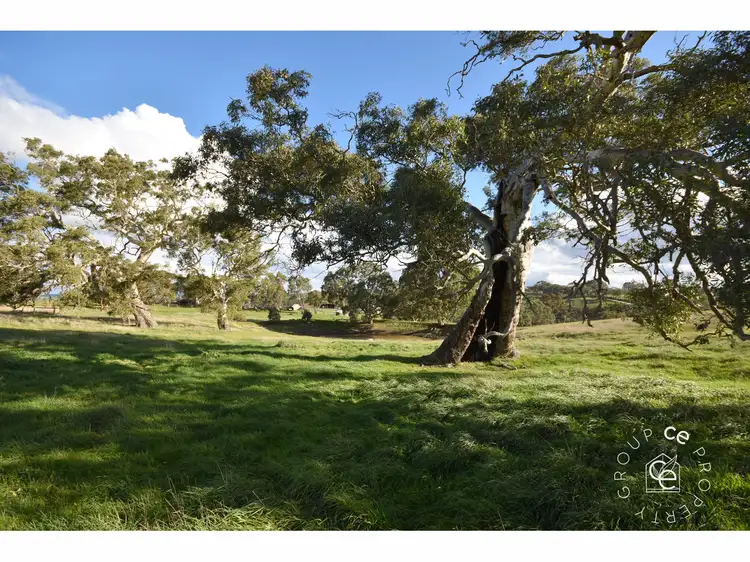 Third view of Homely rural property listing, 297 Tungkillo Road, Tungkillo SA 5236
