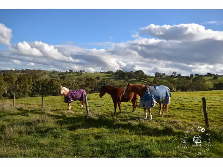 Fourth view of Homely rural property listing, 297 Tungkillo Road, Tungkillo SA 5236