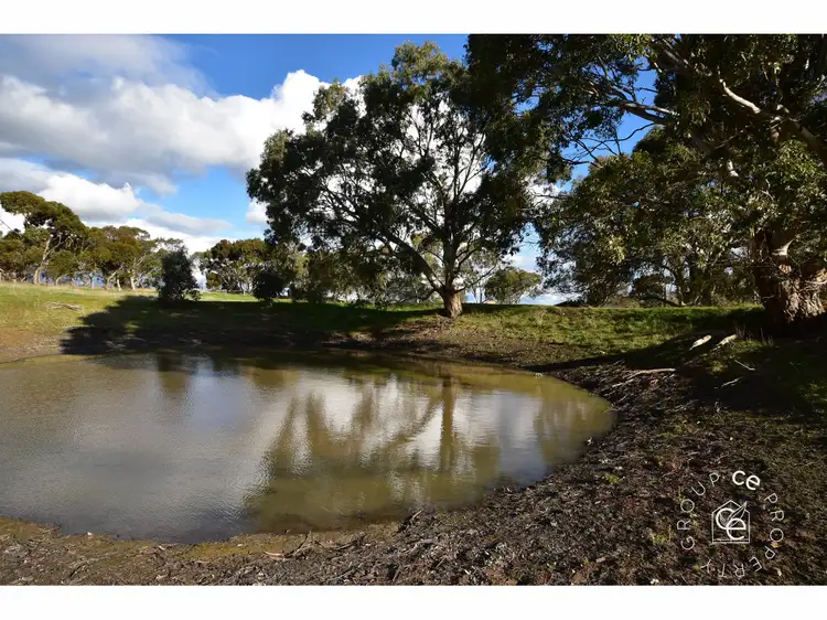 Fifth view of Homely rural property listing, 297 Tungkillo Road, Tungkillo SA 5236