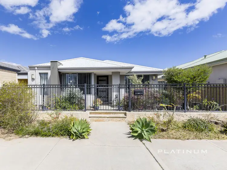 Main view of Homely house listing, 237 Camborne Parkway, Butler WA 6036