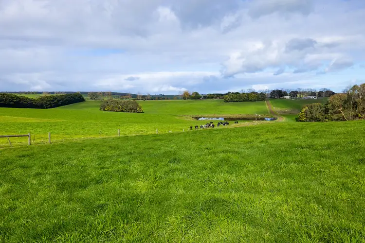 Fifth view of Homely rural property listing, 209 Turrong Road, Cooriemungle VIC 3268
