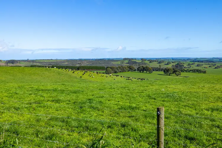 Seventh view of Homely rural property listing, 209 Turrong Road, Cooriemungle VIC 3268