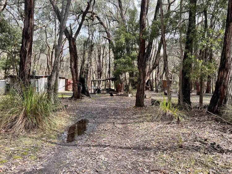 50 Possum Ridge Road, Yeodene VIC 3249
