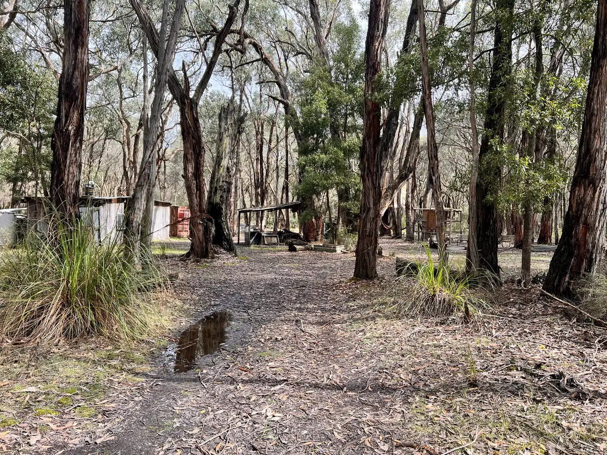 Main view of Homely rural property listing, 50 Possum Ridge Road, Yeodene VIC 3249