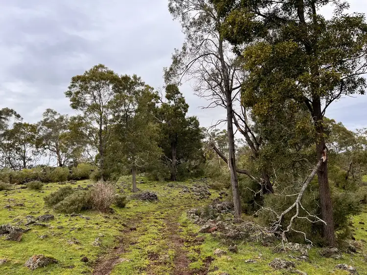 Fourth view of Homely rural property listing, 2090 Princes Highway, Pirron Yallock VIC 3249