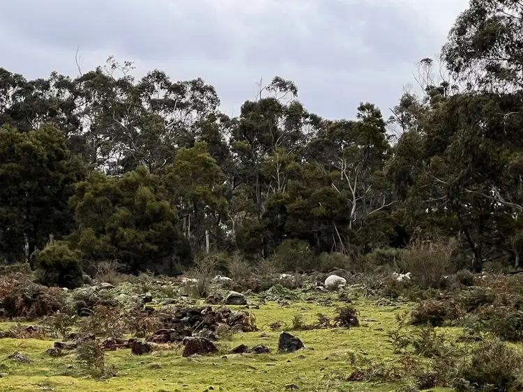 Fifth view of Homely rural property listing, 2090 Princes Highway, Pirron Yallock VIC 3249