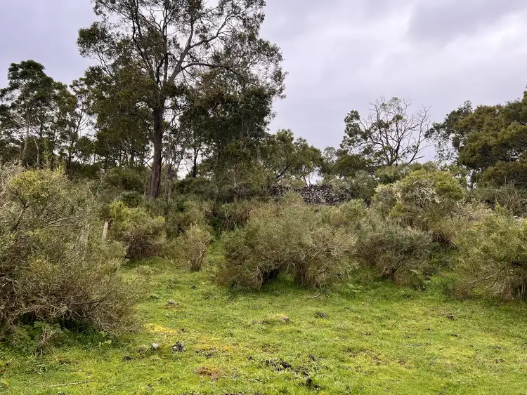 Seventh view of Homely rural property listing, 2090 Princes Highway, Pirron Yallock VIC 3249