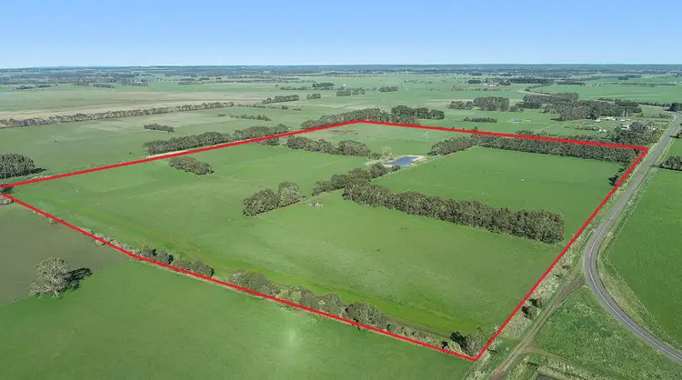 Main view of Homely rural property listing, Swan Marsh Road, Swan Marsh VIC 3249