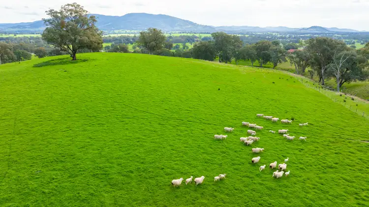 Fifth view of Homely rural property listing, 826 Mahers Road, Bonegilla VIC 3691