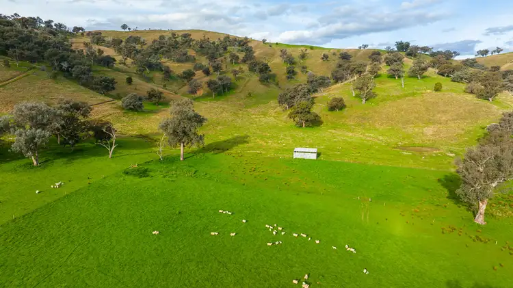 Sixth view of Homely rural property listing, 826 Mahers Road, Bonegilla VIC 3691