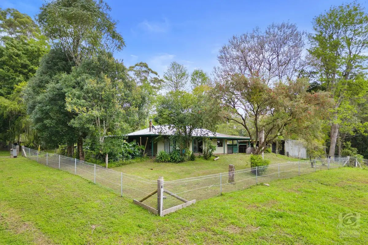 Main view of Homely rural property listing, 3808 Kyogle Road, Mount Burrell NSW 2484
