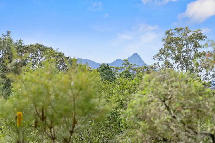 Fifth view of Homely rural property listing, 3808 Kyogle Road, Mount Burrell NSW 2484