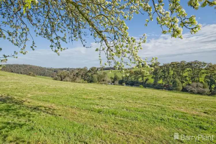 Sixth view of Homely house listing, 16 Mount Burnett Road, Mount Burnett VIC 3781