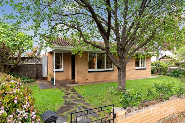 15 Clinton Avenue, Myrtle Bank SA 5064