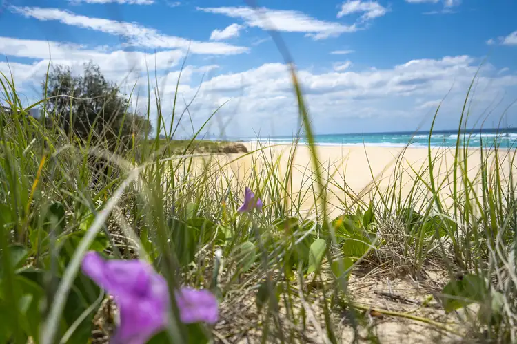 Fifth view of Homely apartment listing, 4/29 Teemangum Street, Tugun QLD 4224