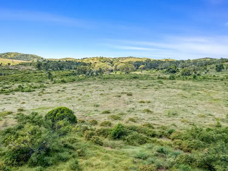 Third view of Homely rural property listing, 510 Bajool Port Alma Road, Bajool QLD 4699