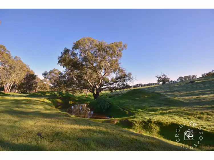 Main view of Homely rural property listing, Lot 776 Hearls Road, Flaxman Valley SA 5235
