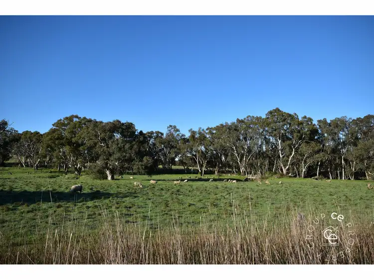 Third view of Homely rural property listing, Lot 776 Hearls Road, Flaxman Valley SA 5235