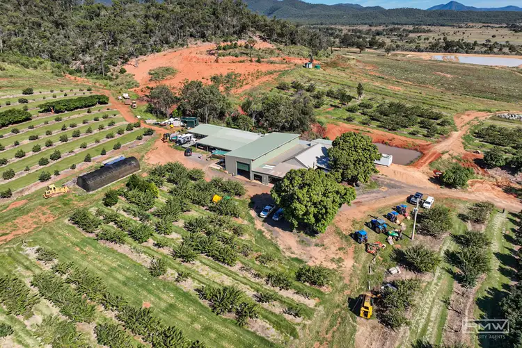 34 Balnagowan Road, Thompson Point QLD 4702