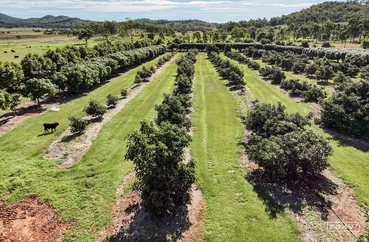 Fourth view of Homely rural property listing, 34 Balnagowan Road, Thompson Point QLD 4702