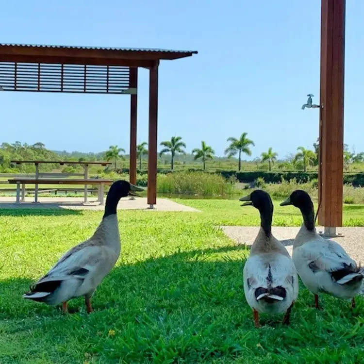 Seventh view of Homely land listing, 14 Tropical Place, Hidden Valley QLD 4703