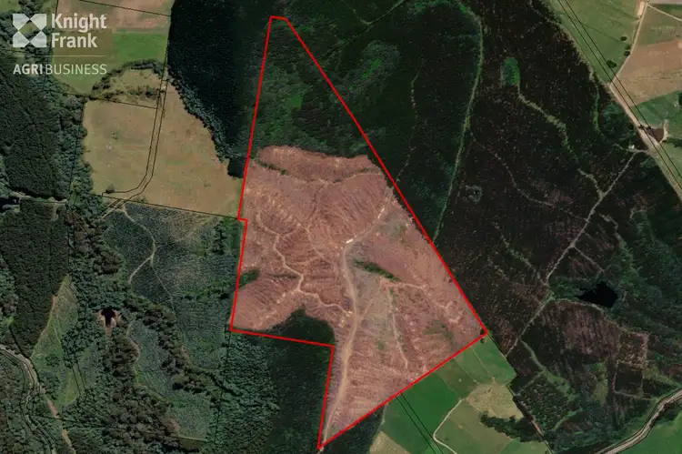 Main view of Homely land listing, Tasman Highway, Legerwood TAS 7263