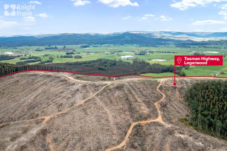 Fifth view of Homely land listing, Tasman Highway, Legerwood TAS 7263