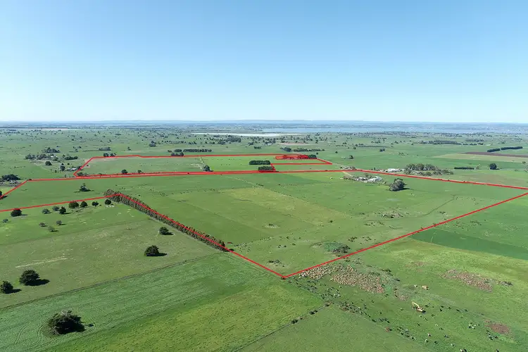 495 & 540 Coragulac-Beeac Road, Warrion VIC 3249