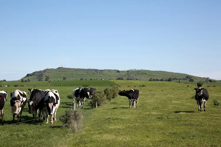 Fourth view of Homely rural property listing, 495 & 540 Coragulac-Beeac Road, Warrion VIC 3249