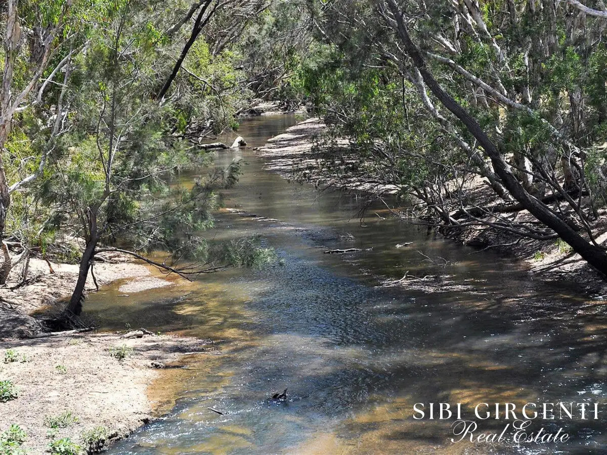 Main view of Homely rural property listing, 1373 Wolfram Road, Dimbulah QLD 4872