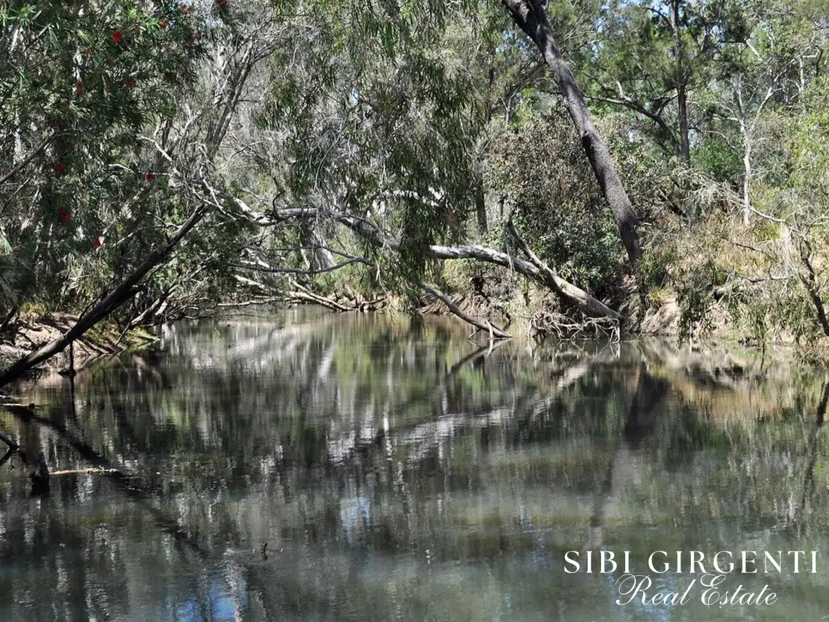 Main view of Homely rural property listing, 1373 Wolfram Road, Dimbulah QLD 4872