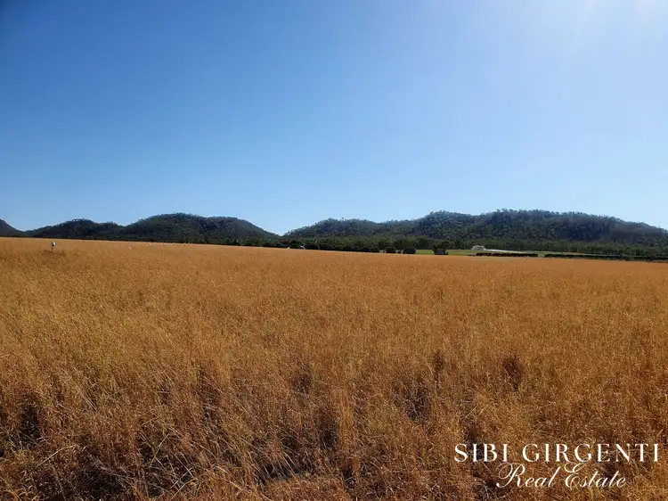 Fifth view of Homely rural property listing, 1373 Wolfram Road, Dimbulah QLD 4872