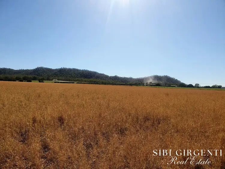 Sixth view of Homely rural property listing, 1373 Wolfram Road, Dimbulah QLD 4872