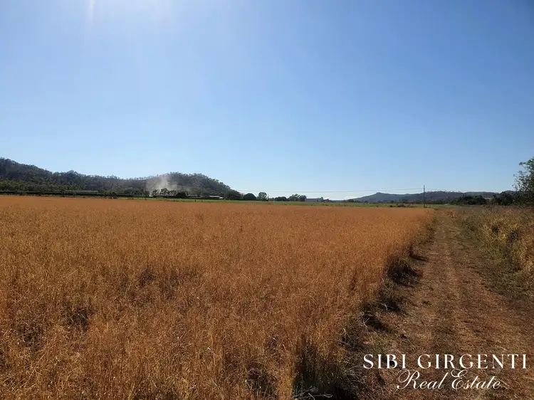 Seventh view of Homely rural property listing, 1373 Wolfram Road, Dimbulah QLD 4872