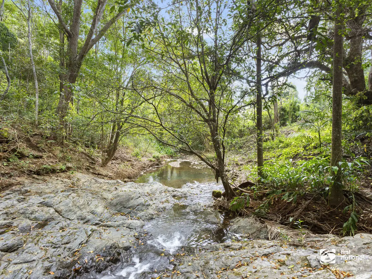 Main view of Homely rural property listing, 141 Glenock Road, Dum Dum NSW 2484