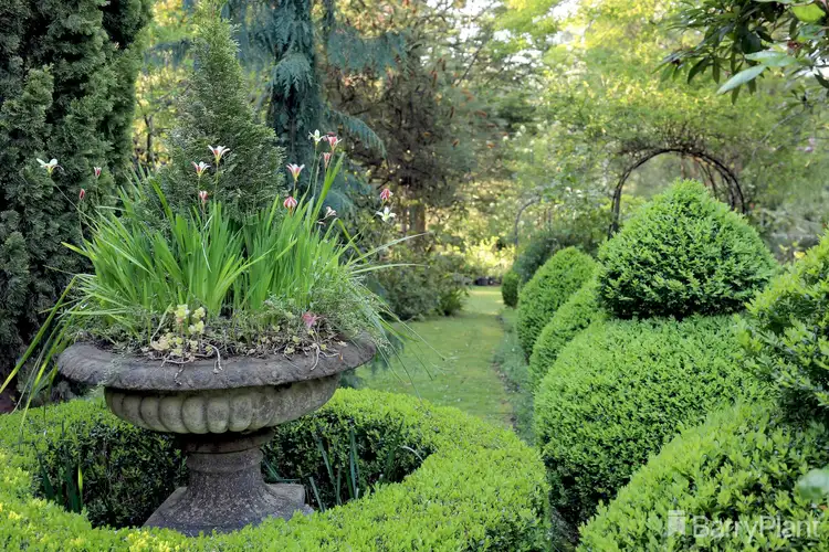 Fourth view of Homely house listing, 101 - 103 Woori Yallock Road, Cockatoo VIC 3781