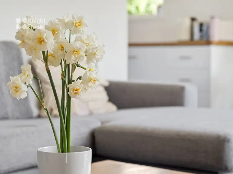 Fourth view of Homely villa listing, 4/7 Horsham Road, Oakdowns TAS 7019