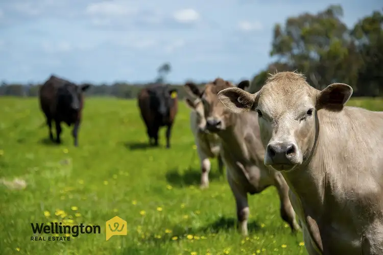 Fifth view of Homely rural property listing, 236 Rosedale-Flynns Creek Road, Rosedale VIC 3847