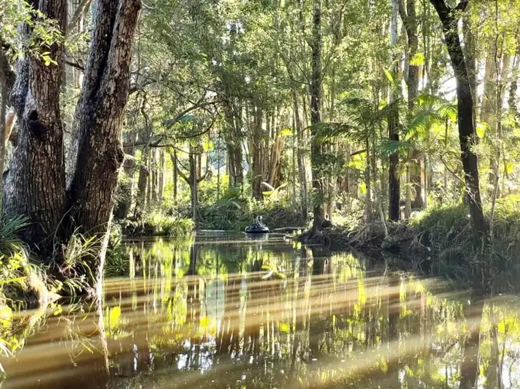 Sixth view of Homely rural property listing, 16 Camphorlaurel Court, Tallebudgera Valley QLD 4228