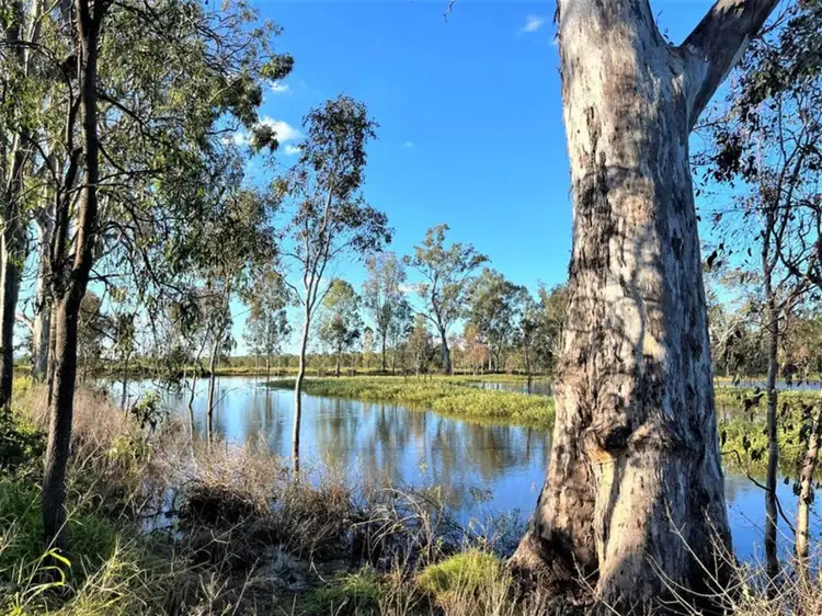 Sixth view of Homely rural property listing, Lot 149 Old Ropeley Road, Ropeley QLD 4343