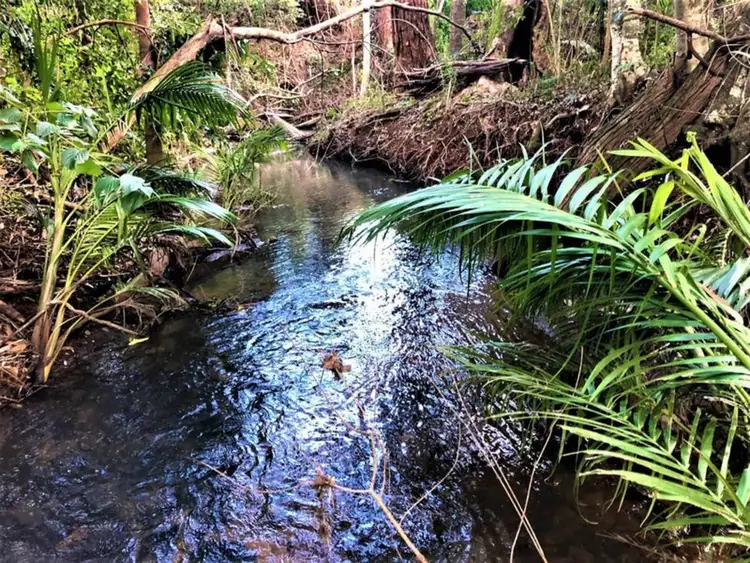 Third view of Homely rural property listing, 163 Ravensbourne Dip Road, Ravensbourne QLD 4352