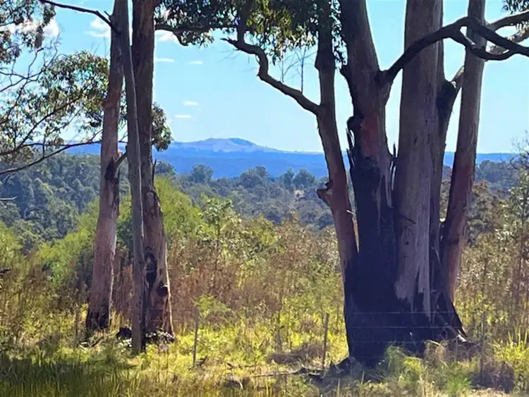 Fifth view of Homely rural property listing, 163 Ravensbourne Dip Road, Ravensbourne QLD 4352