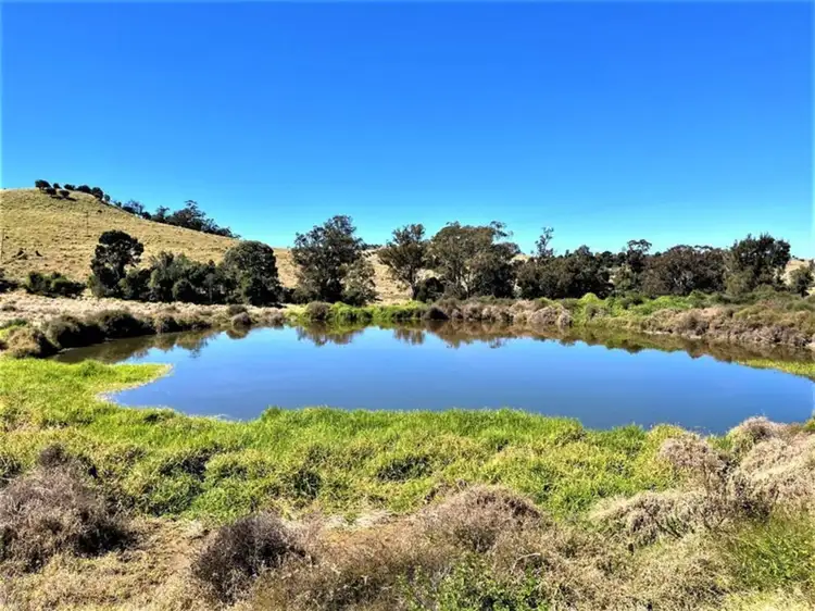Fourth view of Homely rural property listing, 974 Bunya Mountains Maclagan Road, Maclagan QLD 4352