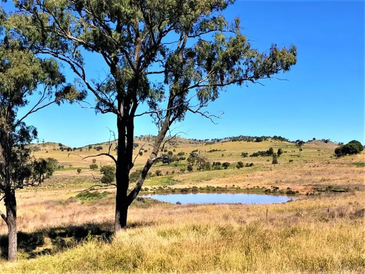 Fifth view of Homely rural property listing, 974 Bunya Mountains Maclagan Road, Maclagan QLD 4352