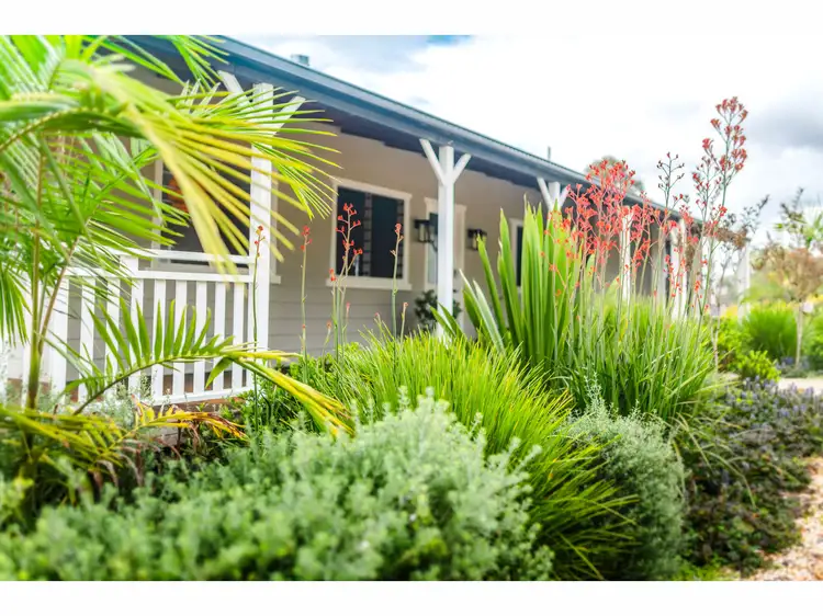 542 Gordonville Road, Bellingen NSW 2454