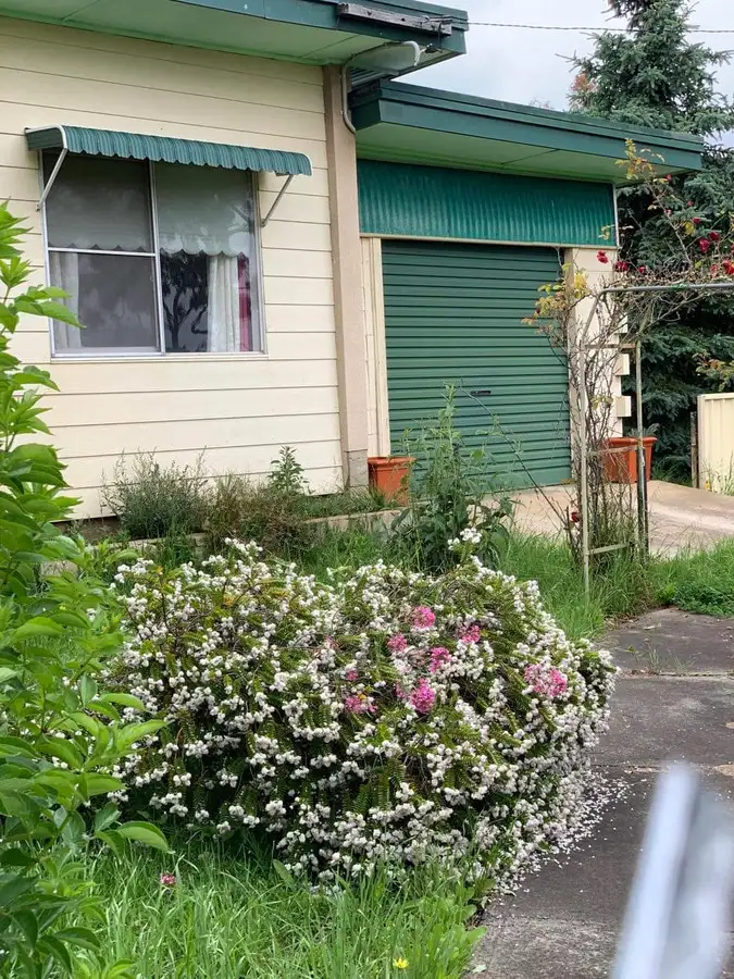 Third view of Homely house listing, 37 Bentley Street, Nimmitabel NSW 2631