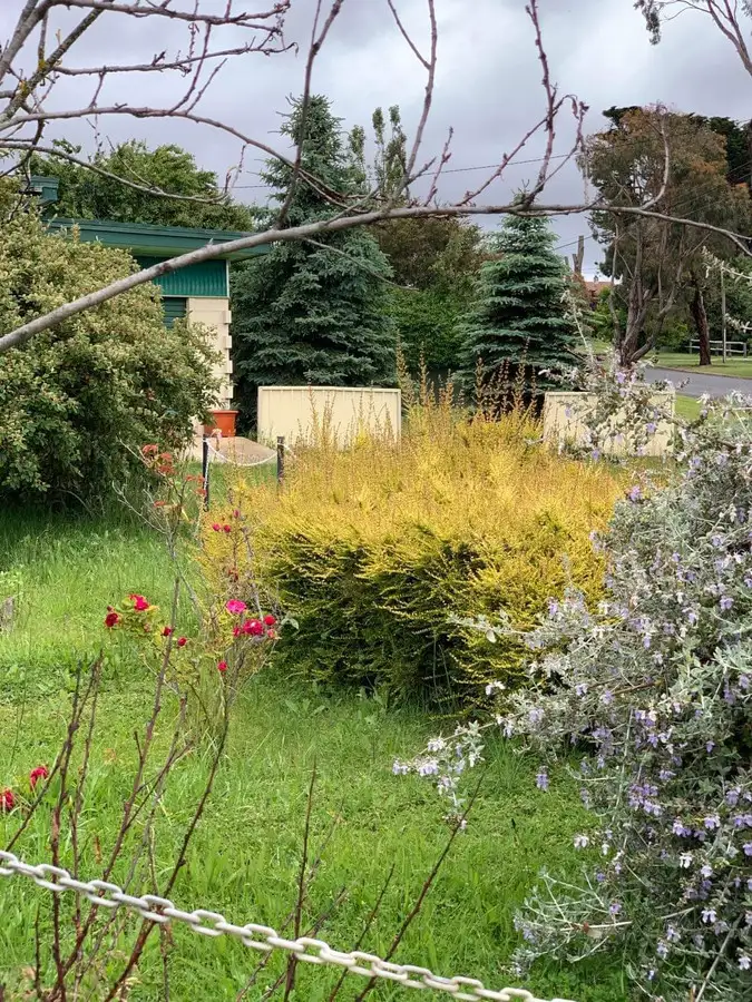 Fifth view of Homely house listing, 37 Bentley Street, Nimmitabel NSW 2631