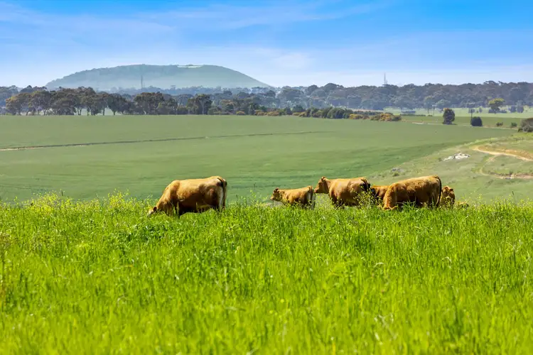 Second view of Homely rural property listing, 2300 Midland Highway, Bannockburn VIC 3331
