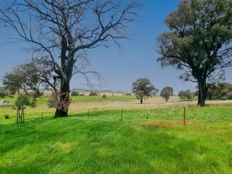 Second view of Homely rural property listing, 'Jamac' 823 Peabody Road, Molong NSW 2866