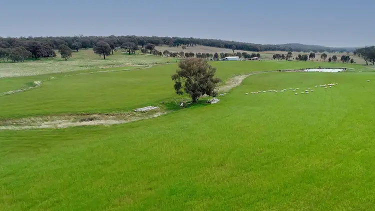 Third view of Homely rural property listing, 'Jamac' 823 Peabody Road, Molong NSW 2866